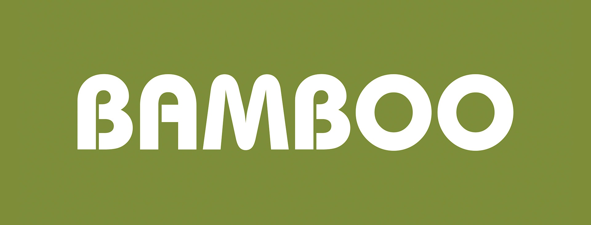 bamboo_lente_NO_20201102
