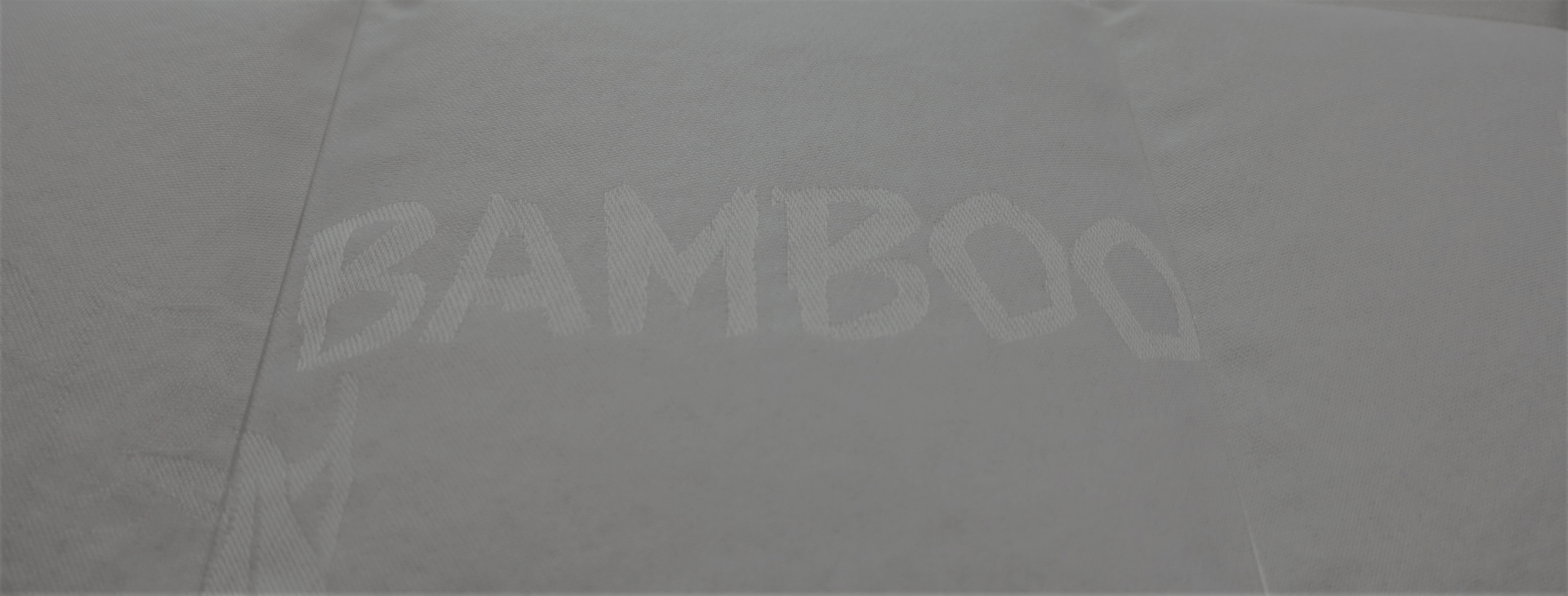 Bambú